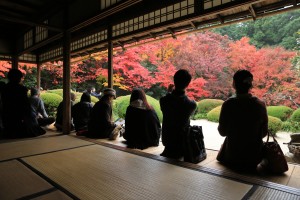 a fall season of Shisen-do garden, kyoto