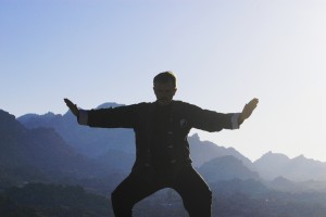 tai chi silhouette